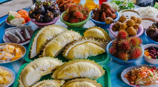 SUAN